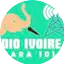 Logo Radio Ivoire FM 101.1 Niakara