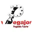 Logo La Pegajosa