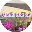 web miami hot on