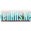 Logo PiratenHits