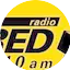 Logo Radio Red 1110 AM