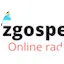 Logo Tzgospel china