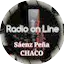 Logo Radio on line saenz peña