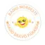 Rádio Nordeste FM