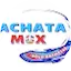 Logo Bachata Mix