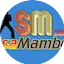 Logo Salsa Mambo 27