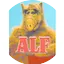 Logo ALF 24 horas