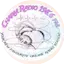 Logo Charm Radio 198.6 Fm