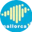 Logo mallorca 1