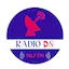 Logo Radio DS