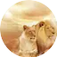 Logo Grandísimo 100.9 Fm