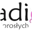 Logo Radio dla Dorosłych