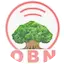 Logo Raadiyoo OBN