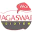Logo NAGASWARA World