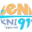 Logo 91.9 The Bend
