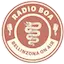Logo Radio BoA - Bellinzona On Air