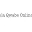 Logo Dokotela Qwabe Online Radio