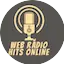 Logo Radio hits online