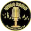 Logo WDLQ RADIO