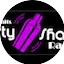 Logo Partyshaker.dk