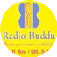 Logo Radio Buddu 98.8FM and 95.5FM