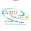 Logo Radio Souvenir 95.1 FM
