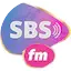 Logo Sheema broadcasting services 90.1fm