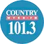 Logo WYKR/FM & WTWN/AM