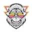 Logo BOSS Web Rádio