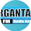 Logo Radio Dirgantara Bali