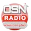 Logo OSN Radio Plus
