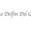Logo Radio Delfín Del Quisco