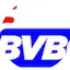 Logo BVBC Radio