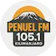 Logo PenuelFM