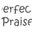 Logo Perfect Praise