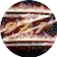 Logo Z 97.1