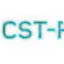 Logo WCST