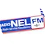 Logo Radio Nel FM