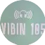 Logo Vibin 105