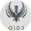 Logo Q103