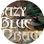 Logo Crazy Blue Dragon