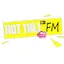 Logo Hot 110.1 FM