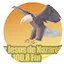 Logo La Voz Jesus de Nazareth 100.8 Fm