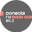 Logo Conecta FM