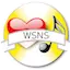 Logo WSNS: Songwriters, Soul, and Solid Gold