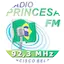 Logo Rádio Princesa FM