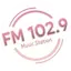 Logo 102.9 Music Station