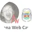 Logo Antenna Web Cayenne