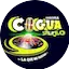 Logo Cogua stereo