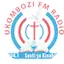 Logo Sauti Ya Kinabi
